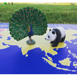 Montessori-Planisphäre Mini