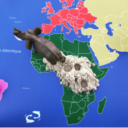 Montessori-Planisphäre Mini