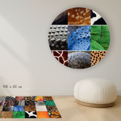 Pelage animaux - Poster Indéchirable