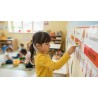The Montessori Time line