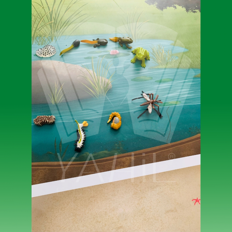 Milieux de vie des animaux