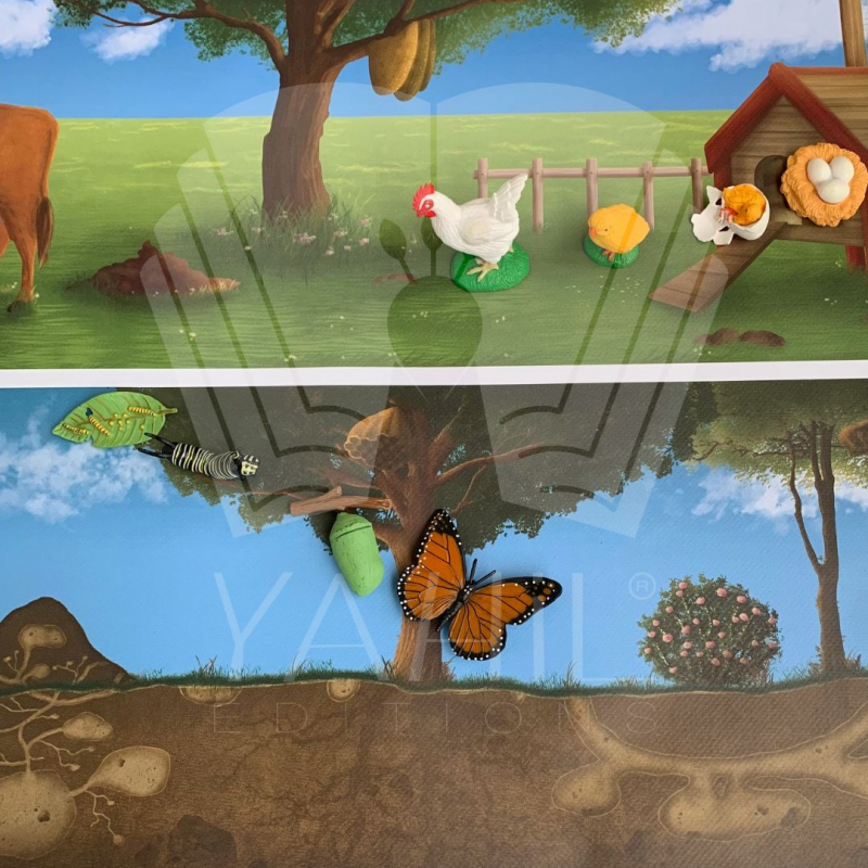 Milieux de vie des animaux